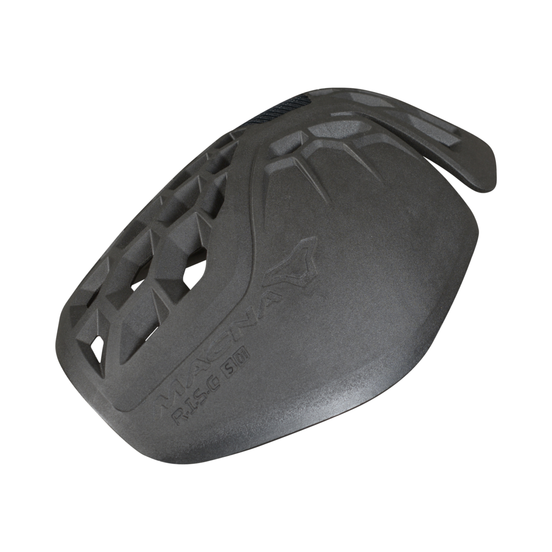 R.I.S.C. S 01 Protectie