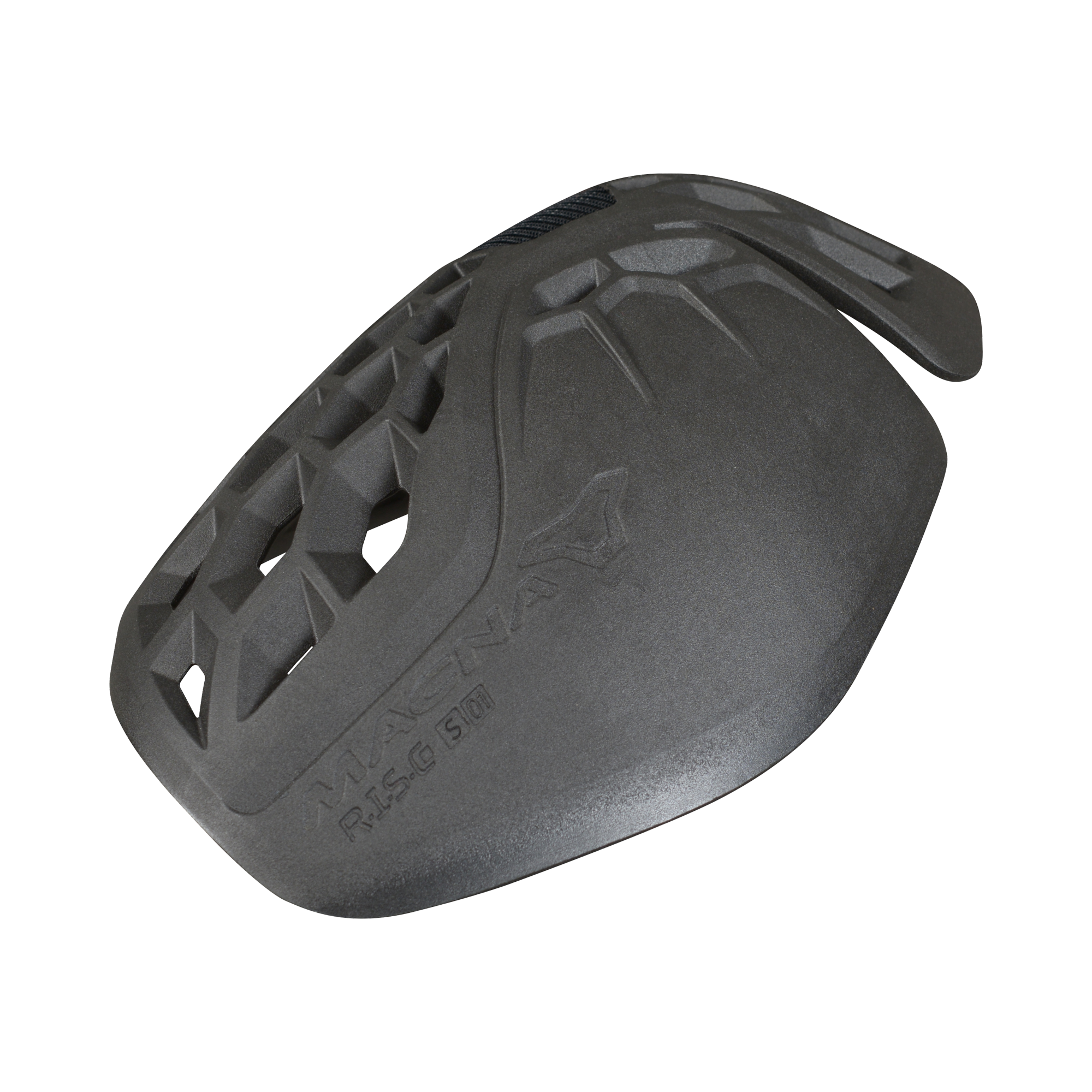 R.I.S.C. S 01 Protectie