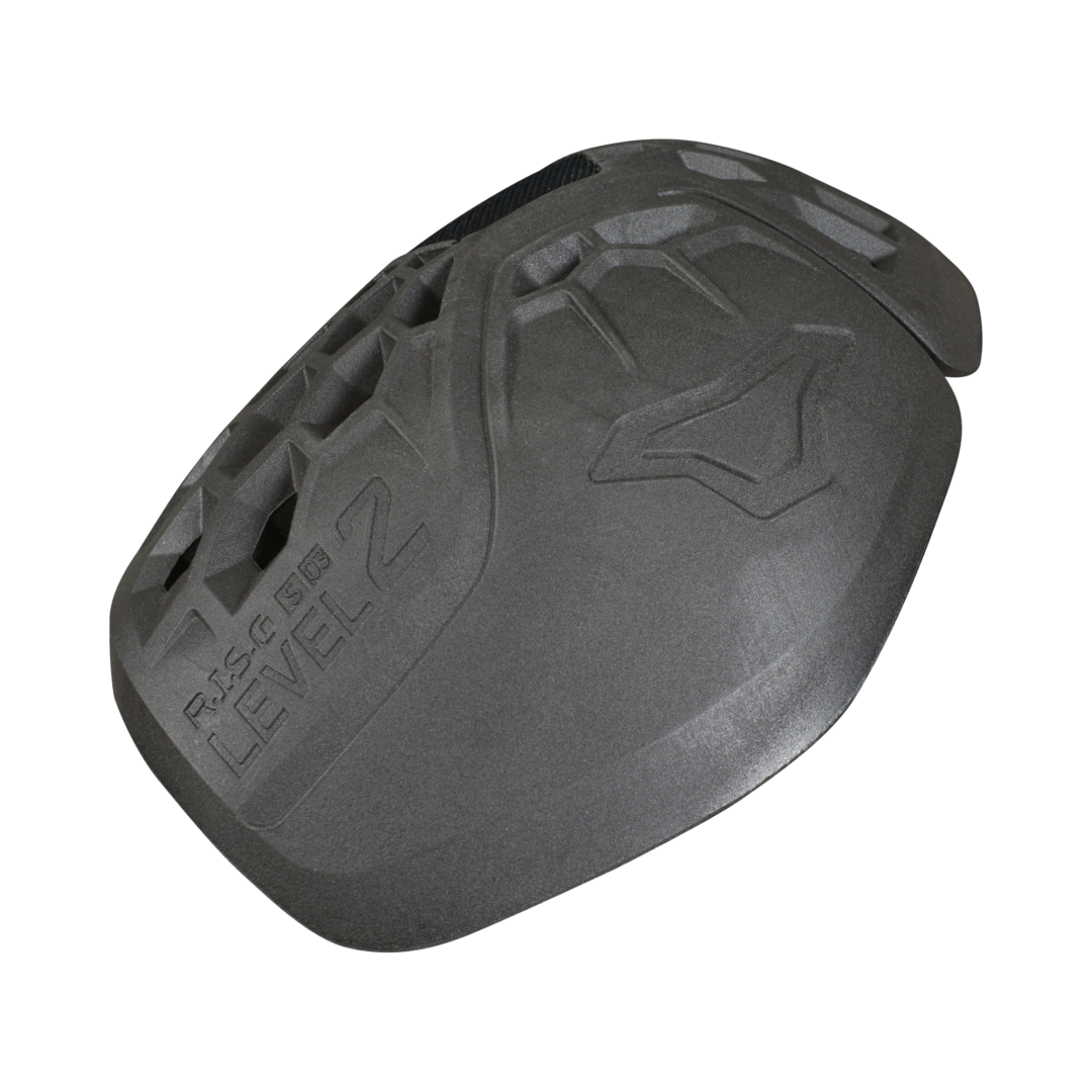 R.I.S.C. S 03 Protectie