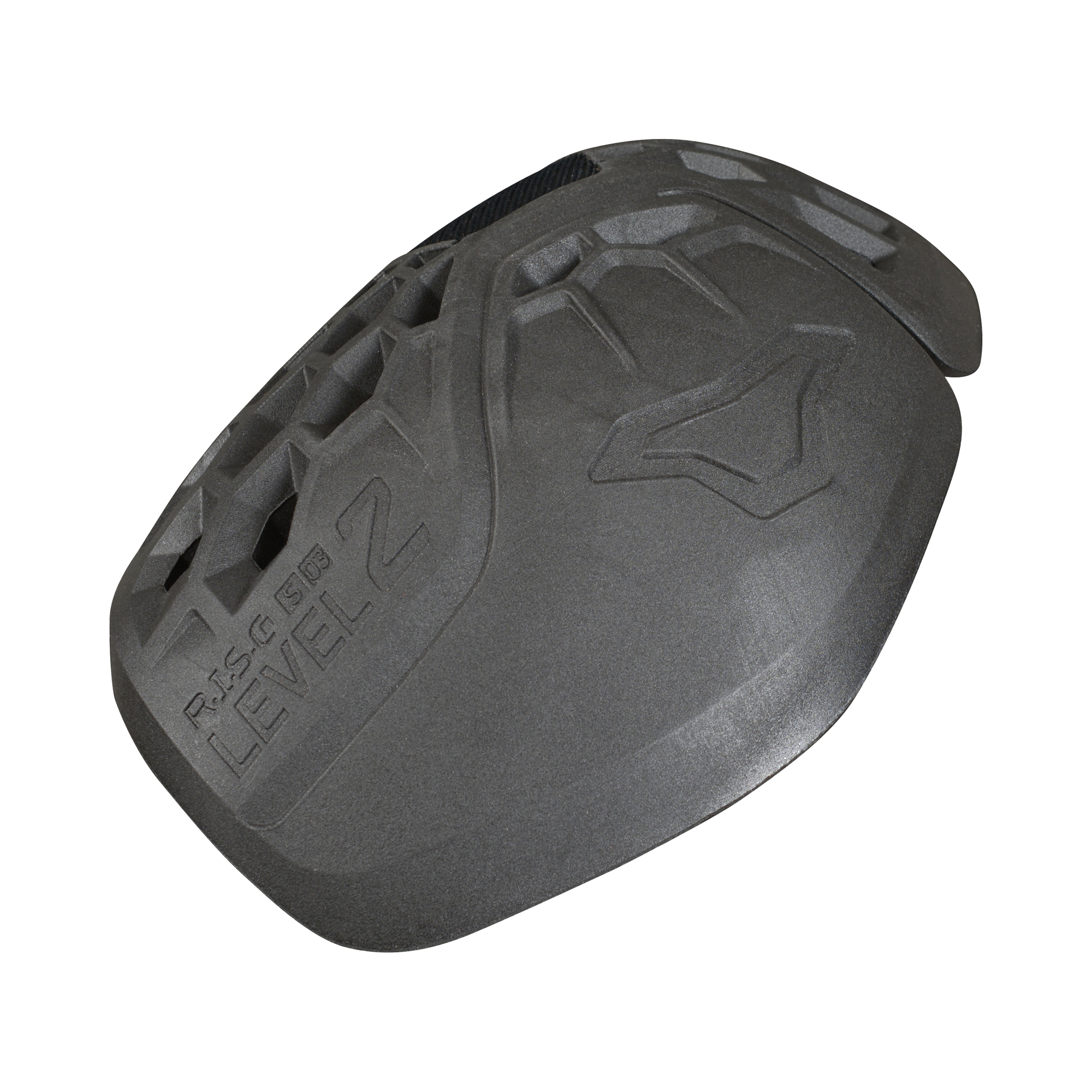 R.I.S.C. S 03 Protectie