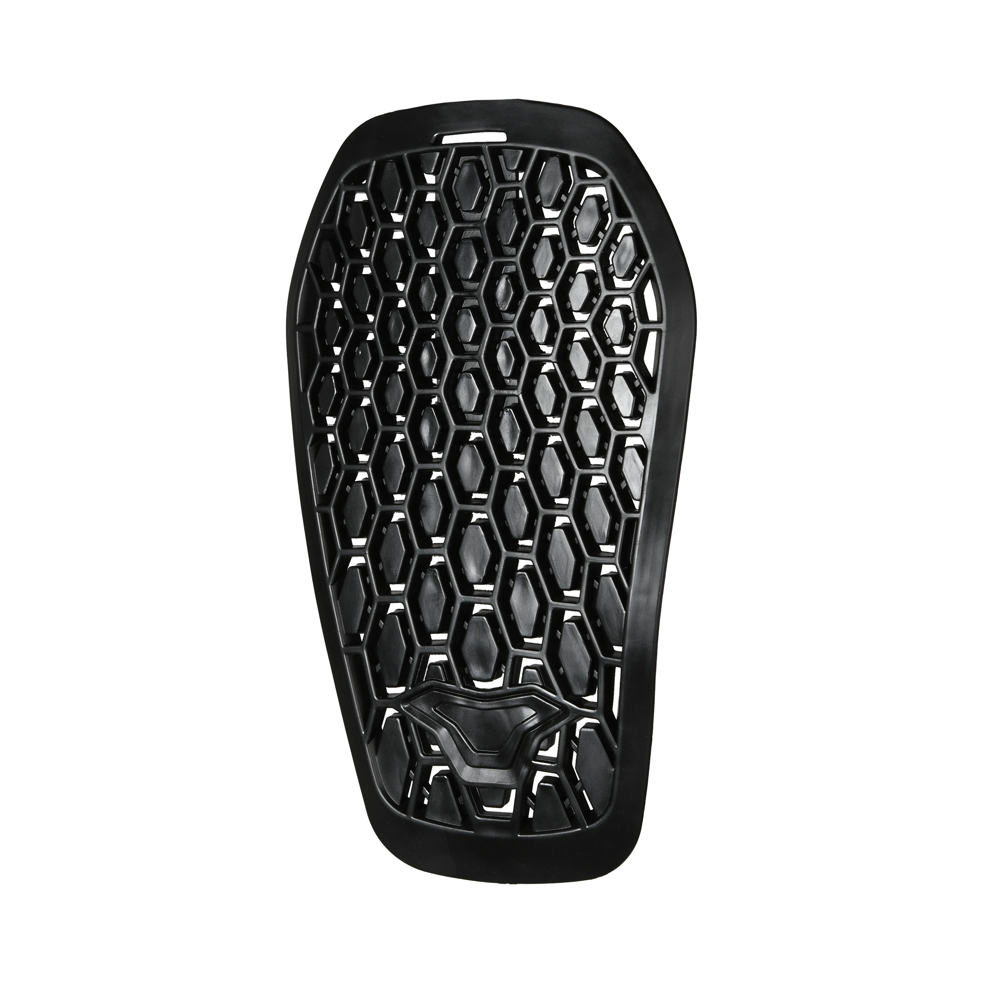 R.I.S.C. FX30 Protectie