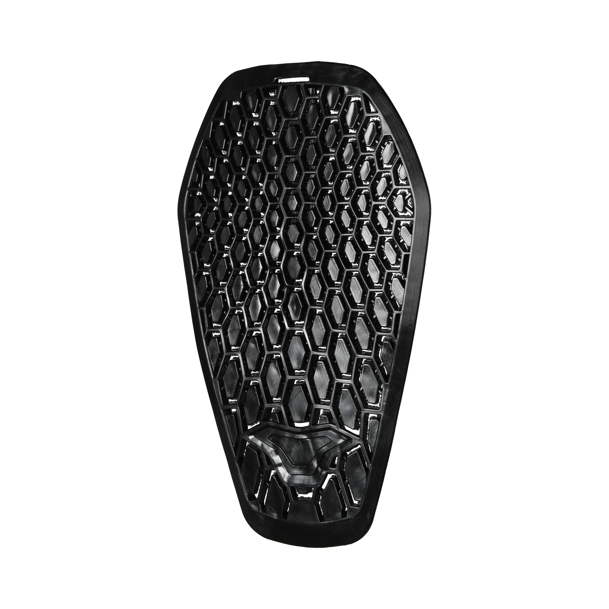 R.I.S.C. FX31 Protectie