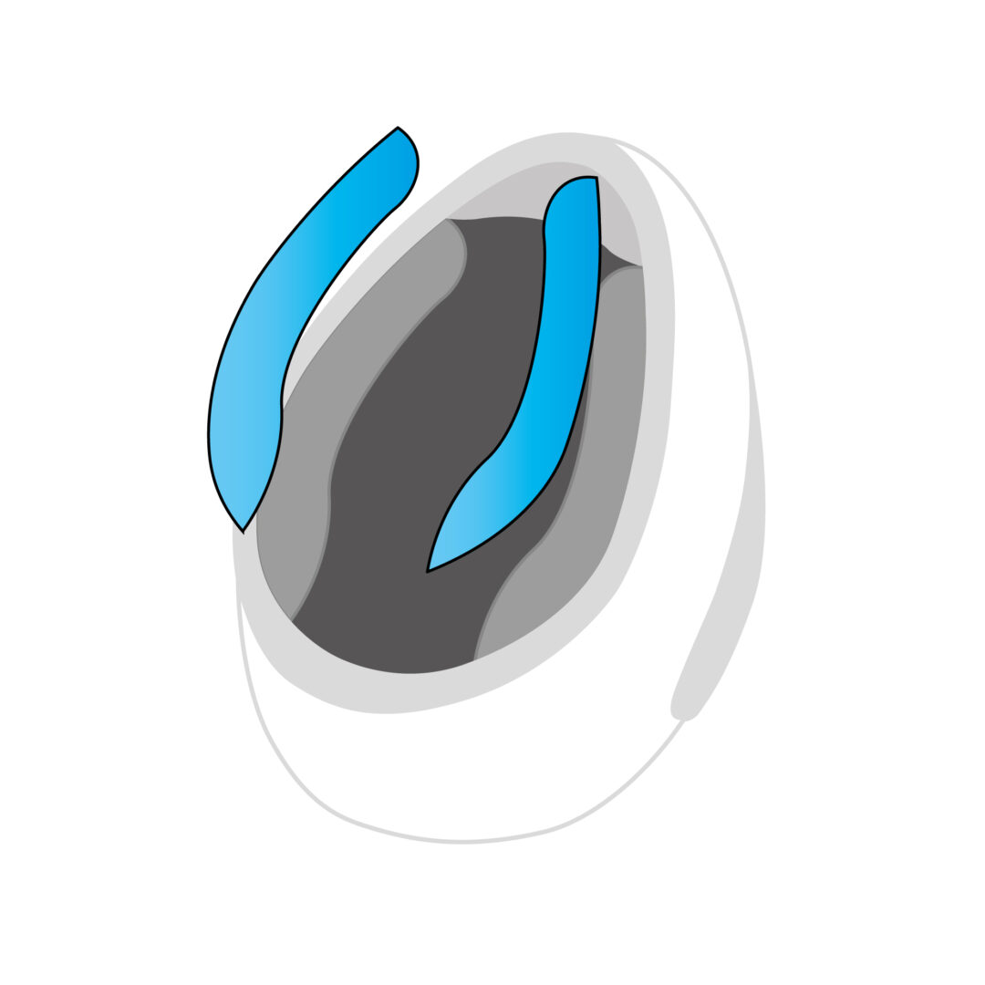 HJC Wangkussens F71 Zwart S_M_XL