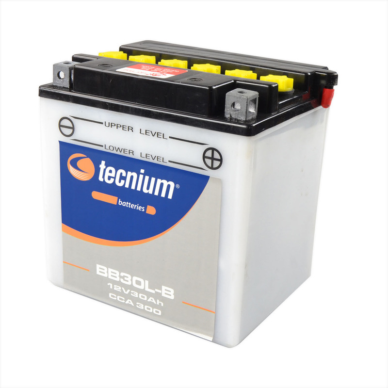 Tecnium - Battery BB30L-B Conv w/ Acid