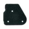 Tecnium - Filter Air voor MF5-9453