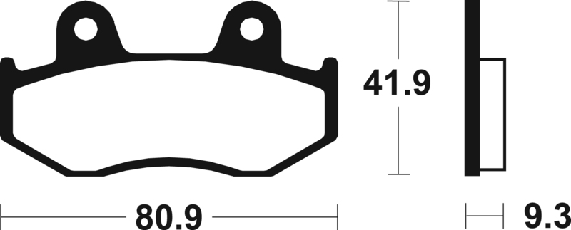 Tecnium - Brake Pads Organic voor Scooter