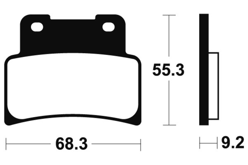 Tecnium - Brake Pads Organic voor Scooter