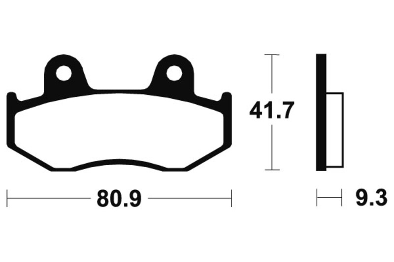 Tecnium - Brake Pads Gesinterd Metaal voor Maxi Scooter